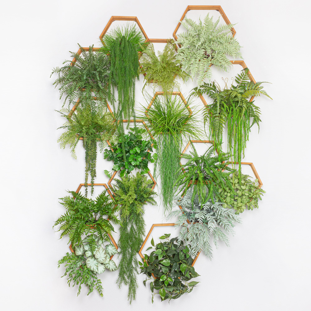 Фитостена СОТЫ